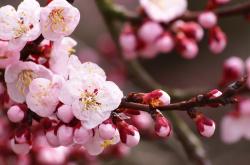 -戏剧之夜，聚光灯下的唯一答案