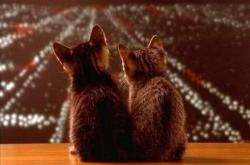 英雄联盟总决赛门票-破壁之战，当北京队碾压独行侠与恩比德接管欧冠淘汰赛—一段唯一的体育史