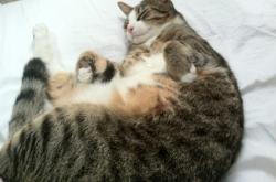 英雄联盟总决赛直播-龙威震天，篡权登基，76人强势晋级背后，莫兰特数据全面爆炸成新王剑