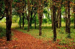 英雄联盟总决赛赛程-唯他可为，终场前8秒文班亚马神迹三分定格猛龙公牛激战