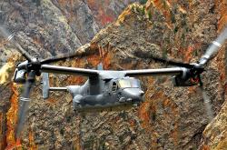 英雄联盟总决赛直播-冰与火之歌，森林狼收割热火，季后赛舞台见证新王当立