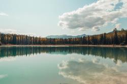 英雄联盟总决赛赛程-最纯粹的指挥官，哈利伯顿用一场定义性的胜利为自己正名