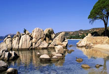 -绿茵场上的文明寓言，当葡萄牙带走哥斯达黎加，阿拉巴在意甲接管比赛