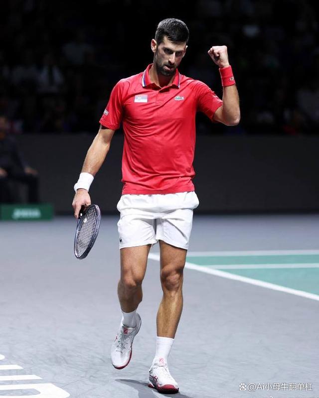 戴维斯杯鏖战年终总决赛，德约科维奇状态火热