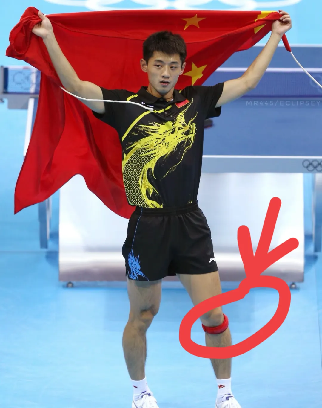 日本队翻盘波兰队，张继科惊艳四座