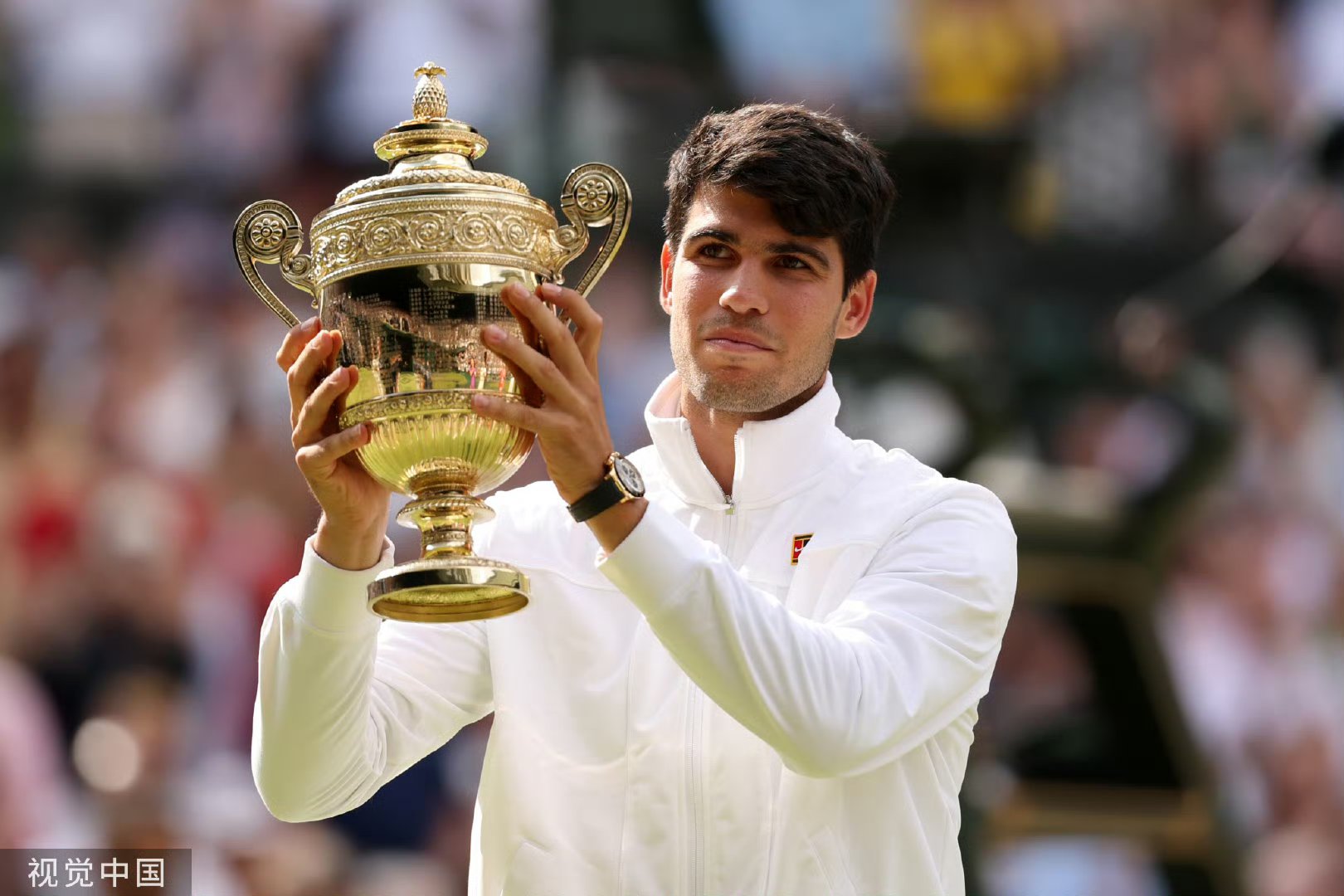 戴维斯杯横扫温网,阿尔卡拉斯点燃赛场 戴维斯杯横扫温网,阿尔卡拉斯点燃赛场