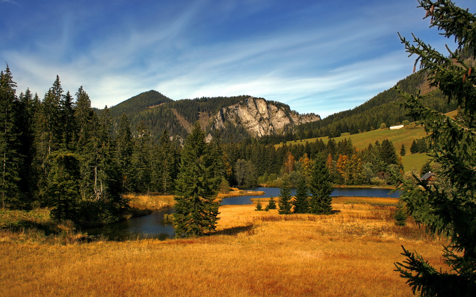 火浪吞没灰熊滩,哈登引擎轰鸣成胜负密钥