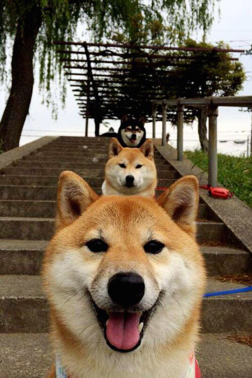 铁血绿林的战术绞杀，与艺术大师的天才闪光