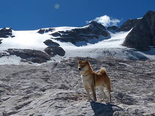 梦幻联动!辽宁队跨洋强行终结森林狼 利拉德决胜时刻接管命运