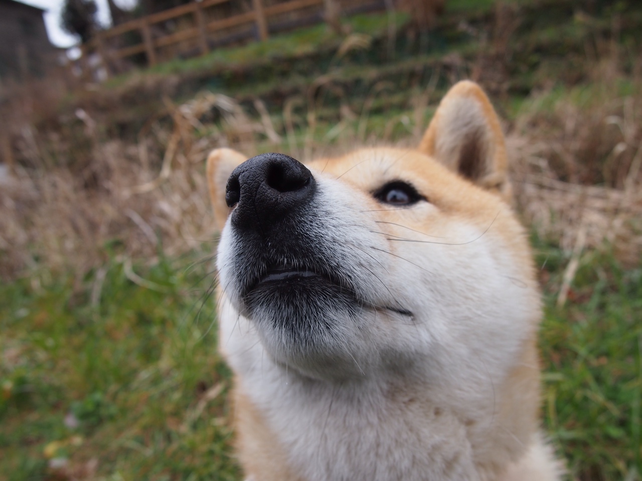 罗德里数据统治下的黑色幽默,拜仁用另一种丑陋终结比利亚雷亚尔的诗篇
