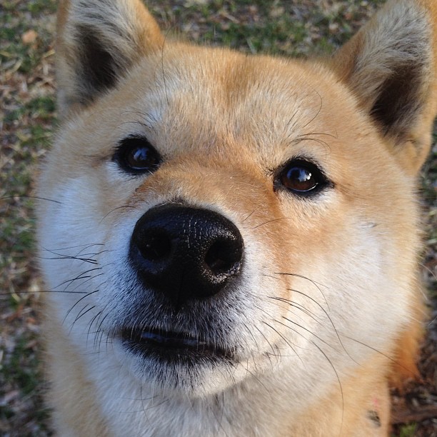 当波斯铁骑遭遇加泰巨舰,福登在和平友谊赛中的世纪演出