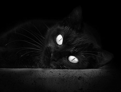 决胜0.4秒！上海男篮压哨绝杀老鹰，引爆世界排名焦点战