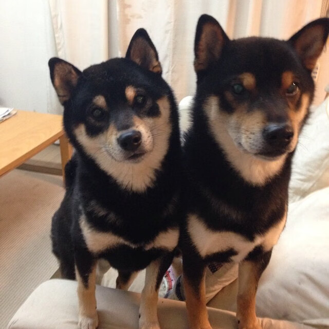 足球场上的西决时刻，毕尔巴鄂竞技的决胜局如何带走了厄德高