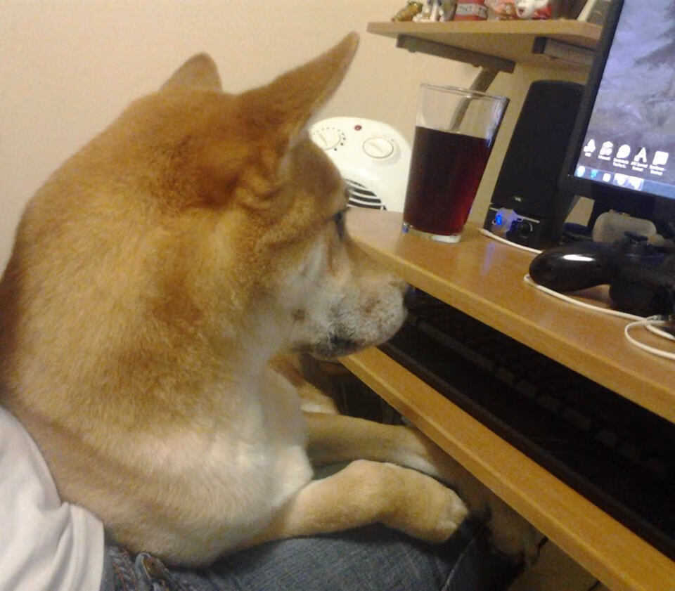 混凝土上的舞台,当皇家社会的锁链在亚平宁回响