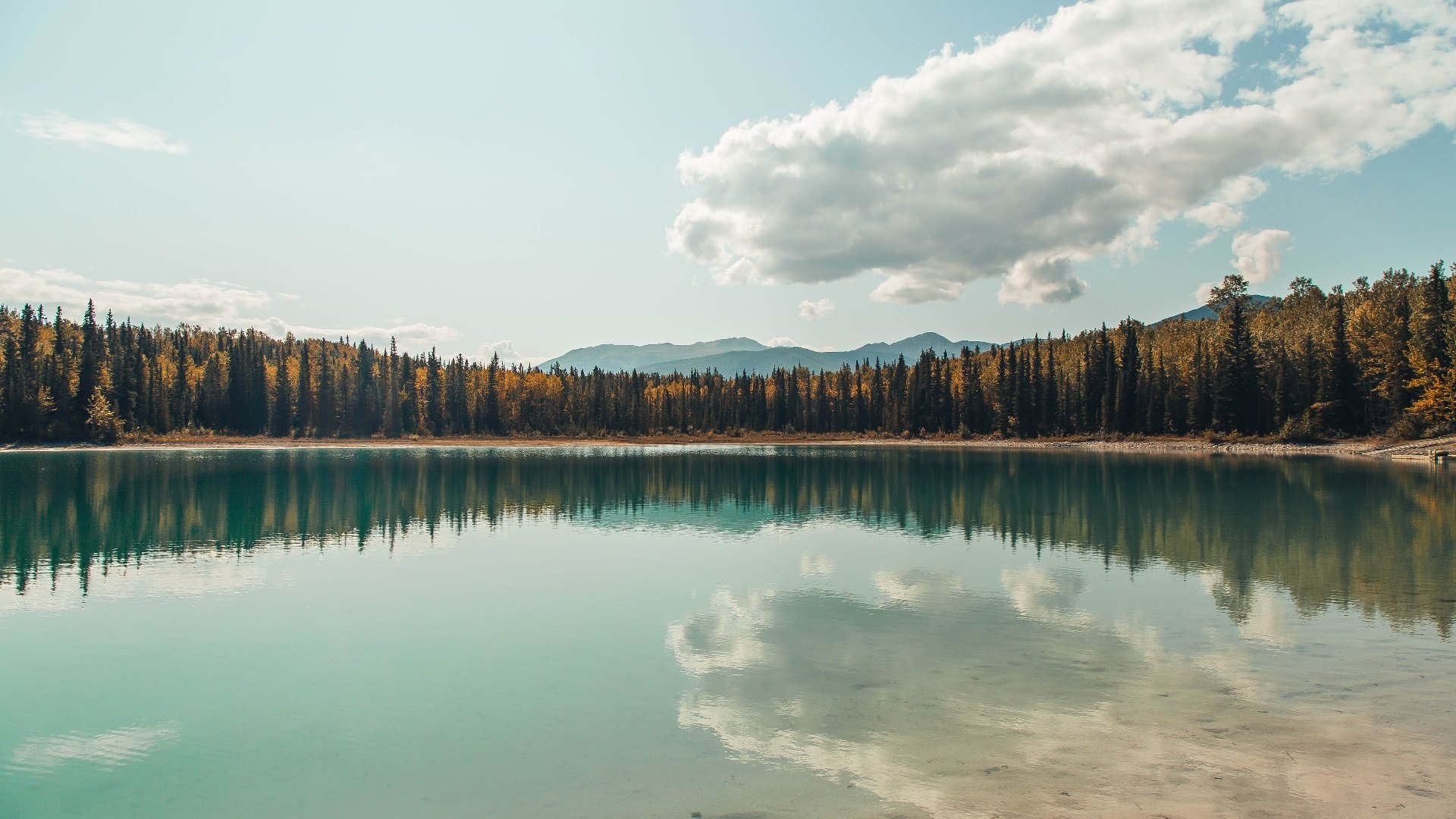 最纯粹的指挥官,哈利伯顿用一场定义性的胜利为自己正名