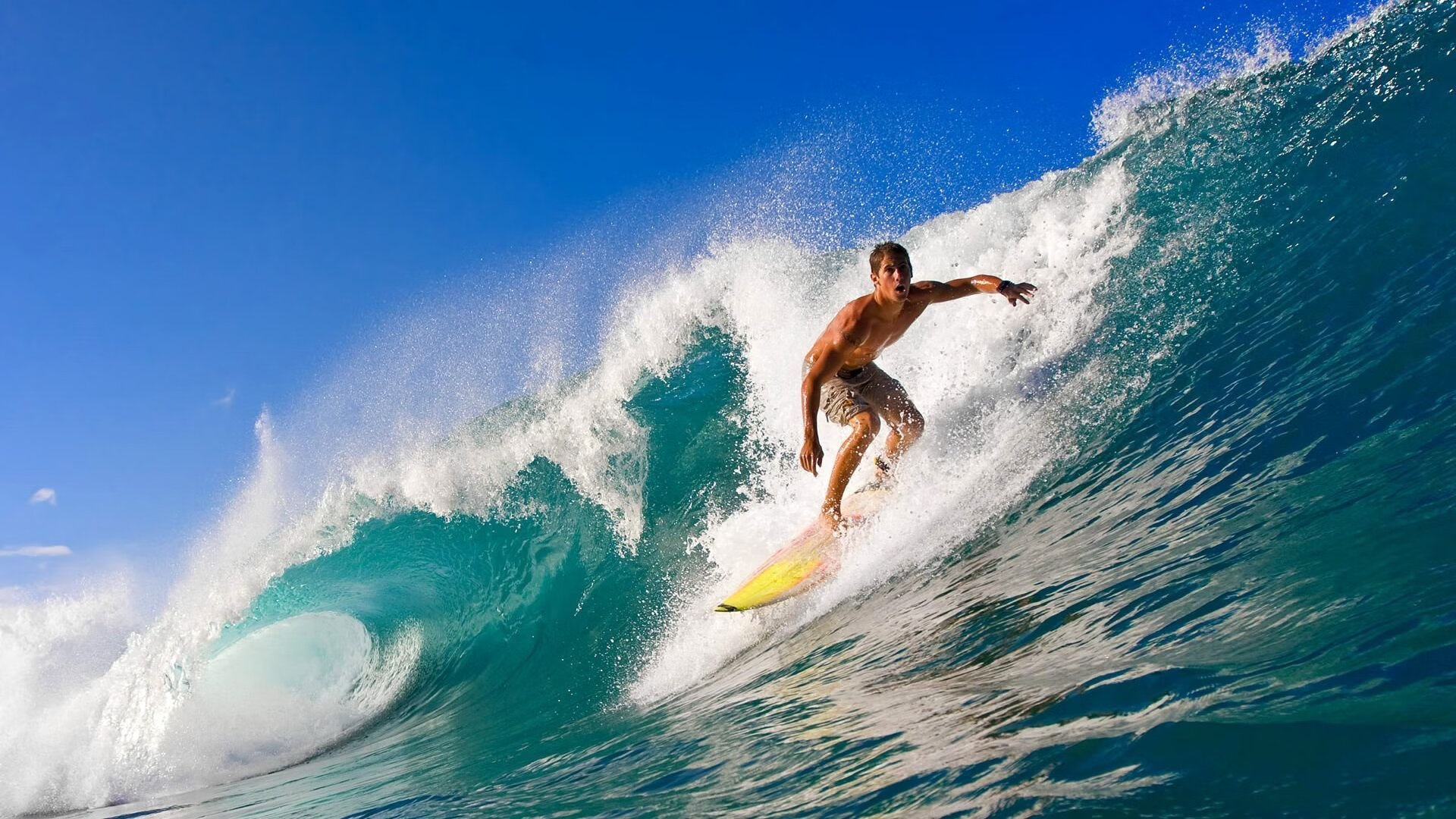 新王登基，鏖战中诞生的关键先生