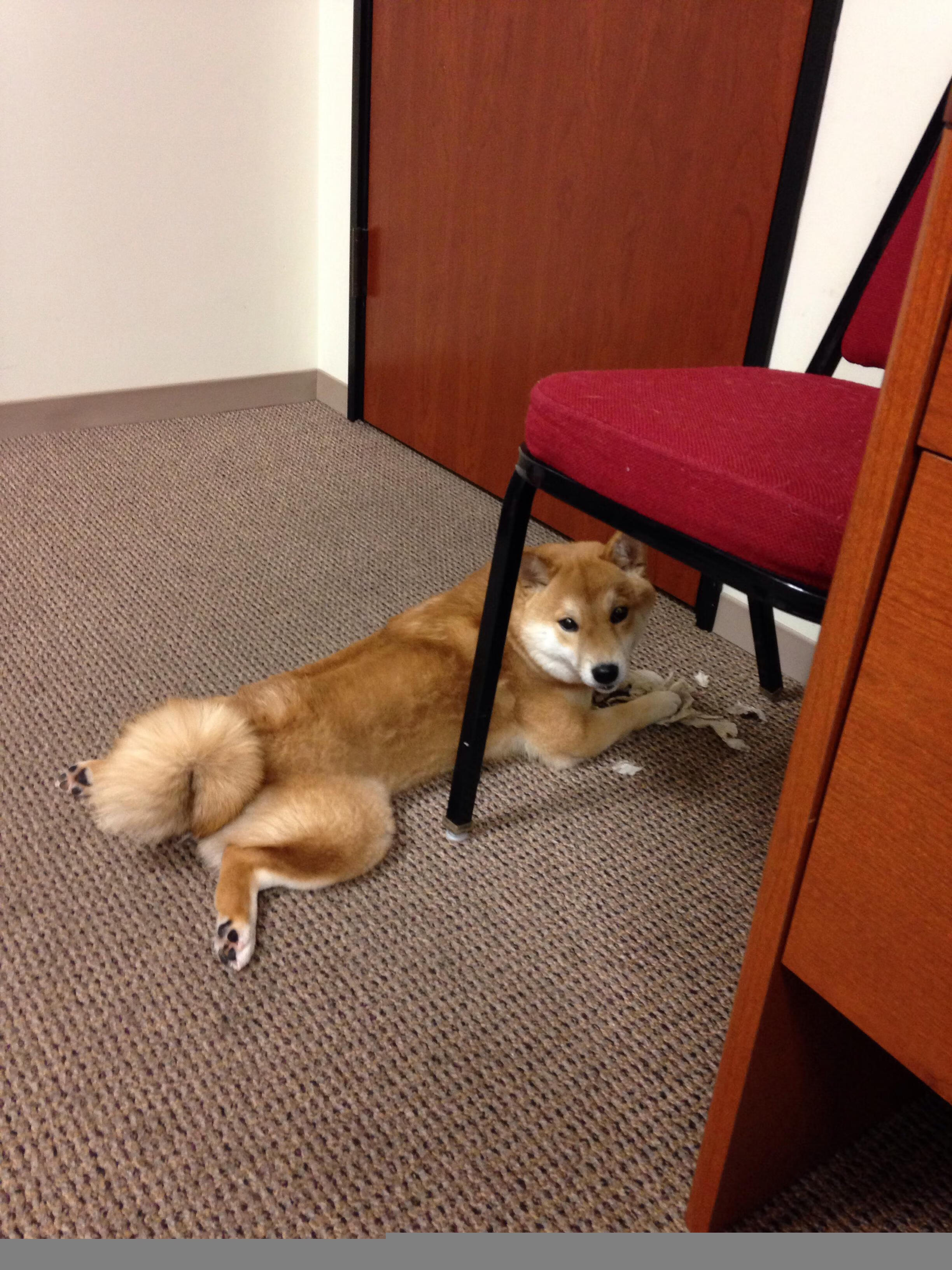 冰火交响曲，欧文独舞撕裂防线，掘金熔炉炼出争冠真金