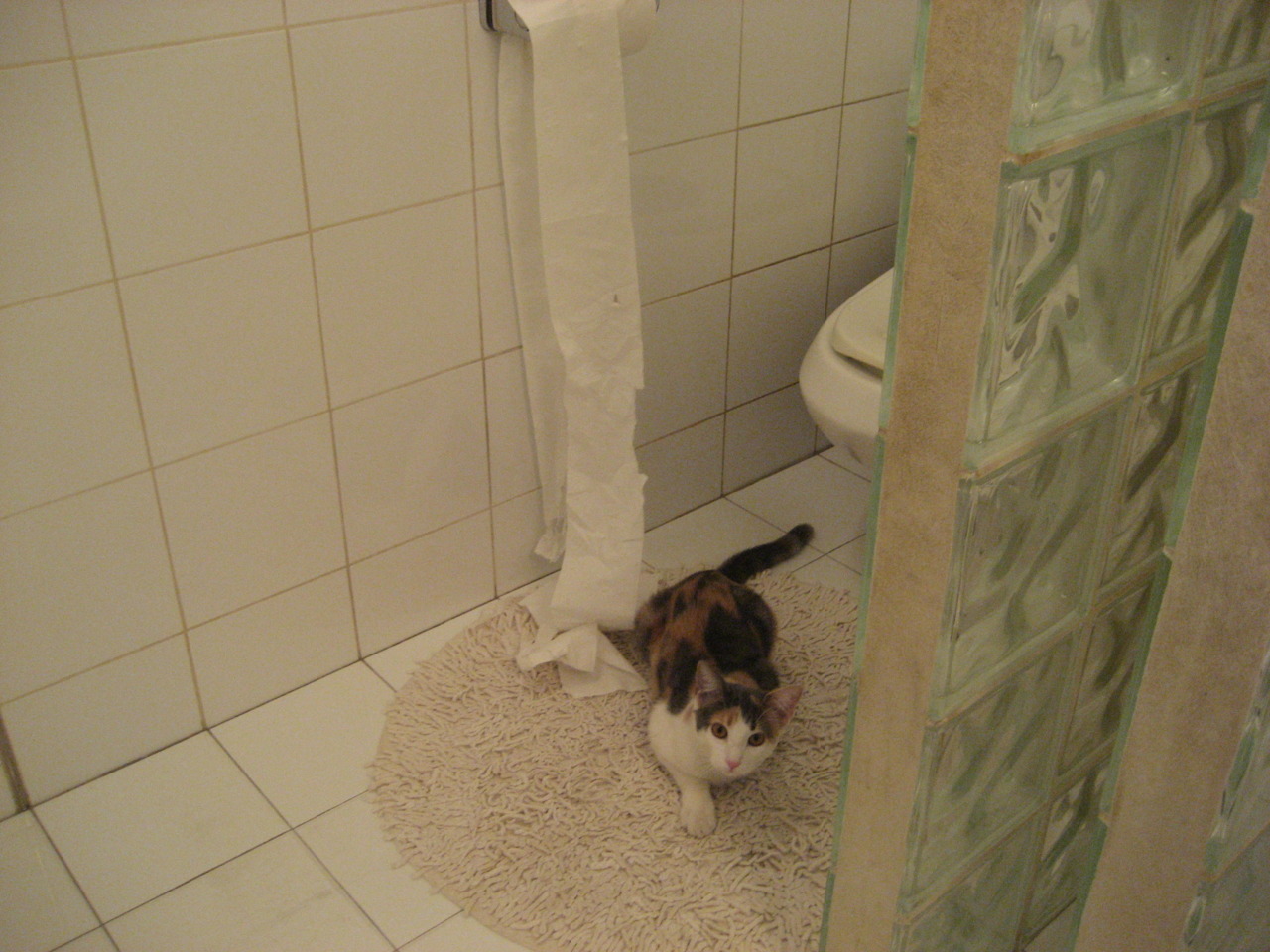 旧主梦魇！莱万双响弑杀多特蒙德，冰冷一击击碎威斯特法伦