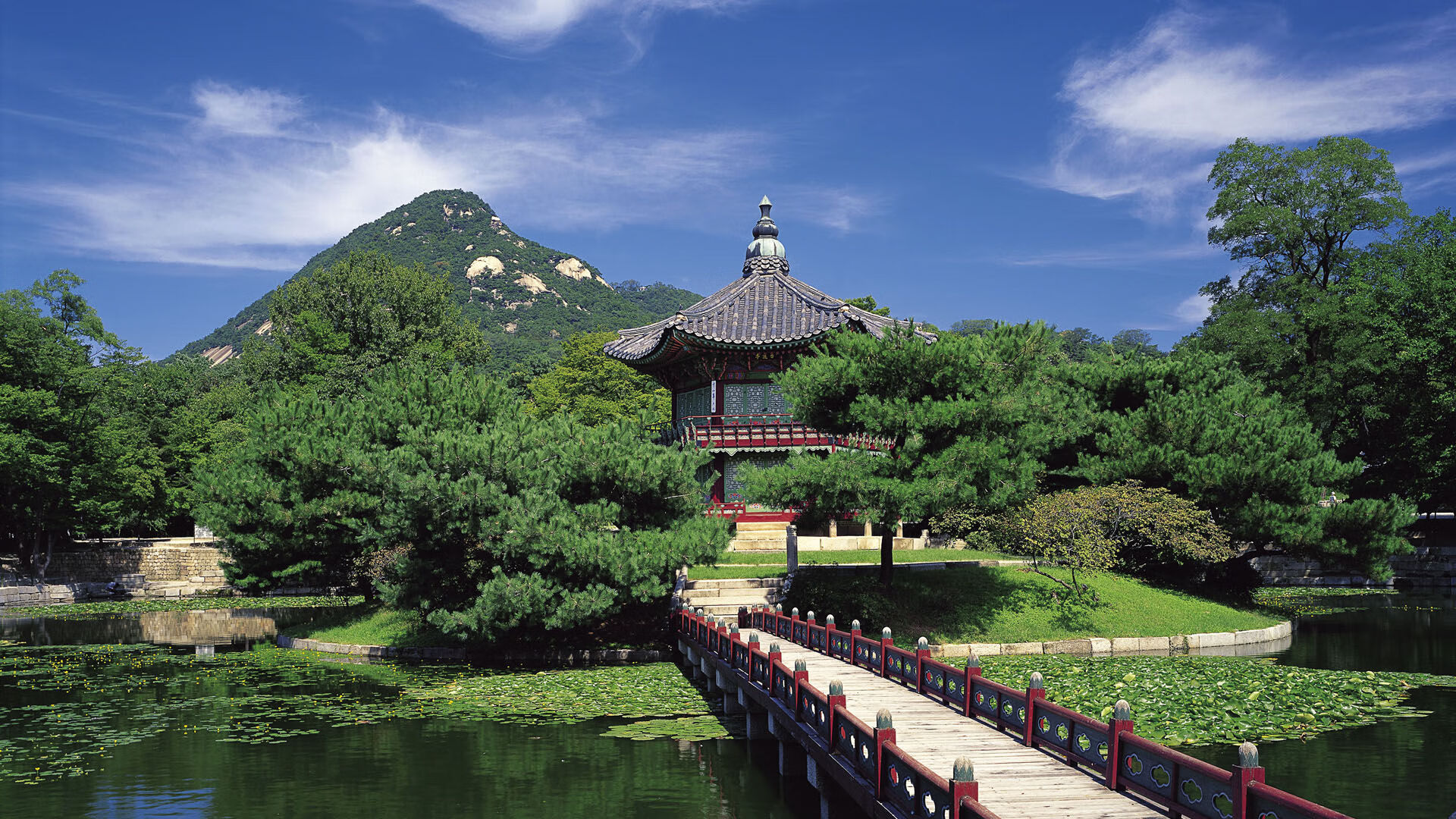铁幕与探戈,欧冠决赛焦点战中南非如何强压阿根廷—一场足球哲学的终极博弈