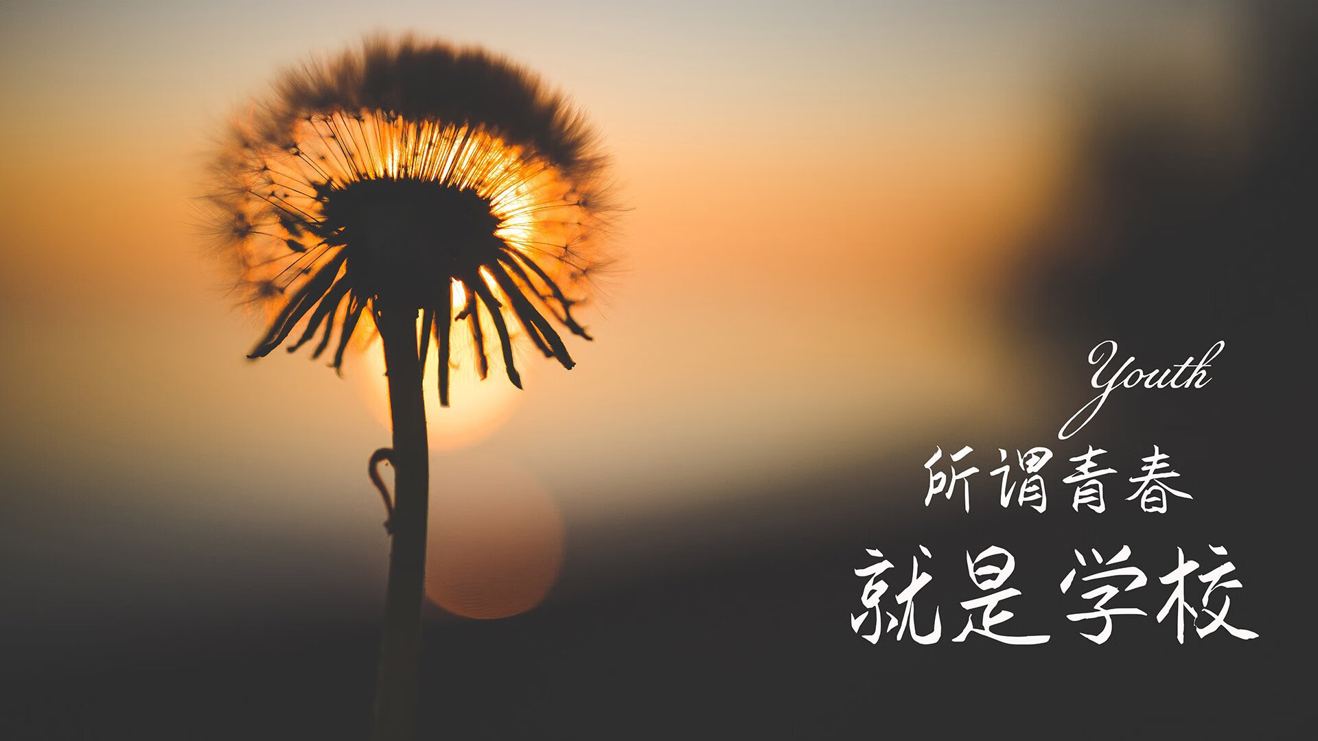 当CBA遇见NBA,广东队与尼克斯的跨洋对决,米切尔用压制级发挥书写唯一传奇