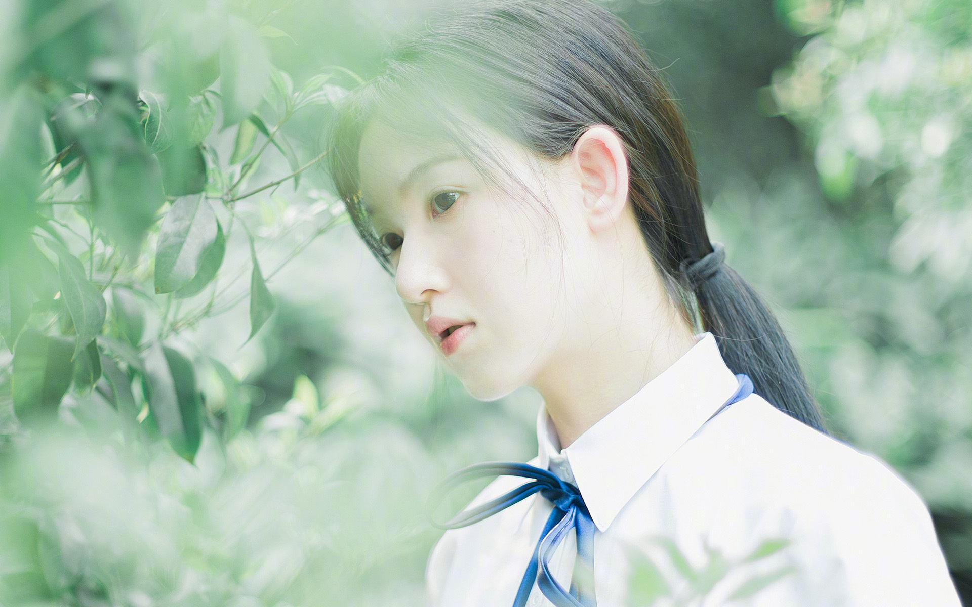 独战,当2026世界杯G组的碾压与致命一击,书写足球史上唯一的神话
