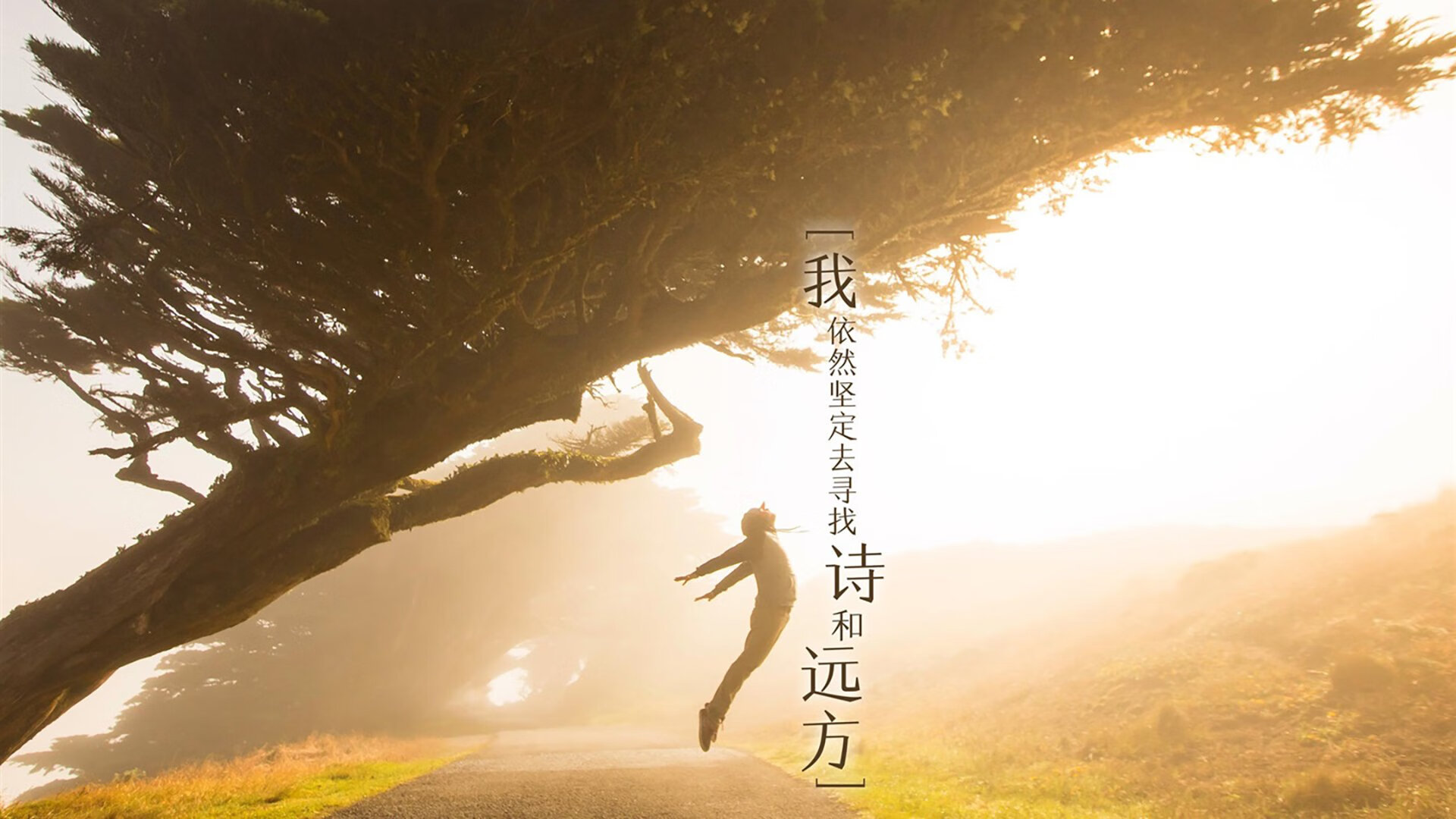 撕裂的红色,当枫叶之师用钢铁洪流碾碎黄金一代,贝林厄姆的孤胆 brilliance 照亮了谁的黑夜?